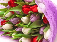 Какие цветы лучше дарить женщинам на 8 марта?