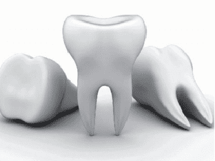 Что означает когда снятся зубы?
