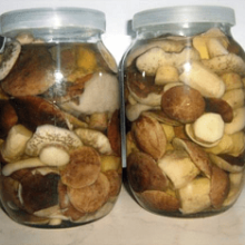Быстро и вкусно: лучшие способы засолки грибов