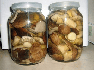 Быстро и вкусно: лучшие способы засолки грибов