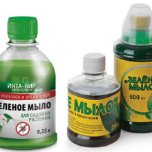 Как использовать зеленое мыло для защиты растений от болезней и вредителей?