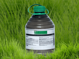 Прима гербицид и его применение