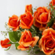 Символика цветов: что означает цвет розы