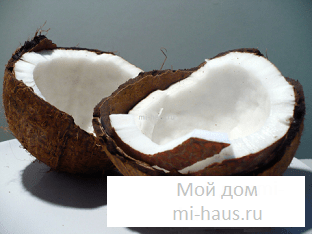 Чем полезен кокосовый орех?
