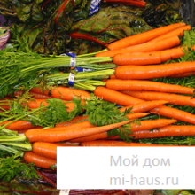 В чем польза моркови?