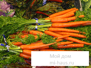В чем польза моркови?