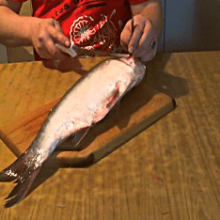 Как выбрать филейный нож для рыбы?