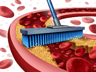 Как почистить кровеносную систему?