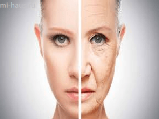 Борьба со старением: фантастика или реальность
