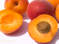 Какие полезные свойства у абрикоса?