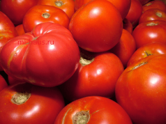 В чем польза помидор для организма человека?