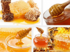 Чем полезен мёд для организма человека?
