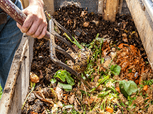 Как готовить хороший компост для огорода