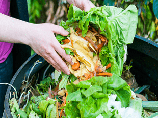 Как приготовить удобрение из травы и пищевых отходов