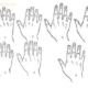 Можно ли определить характер человека по форме рук?